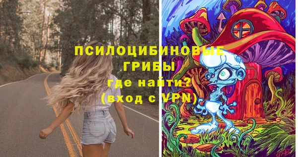 дживик Балахна